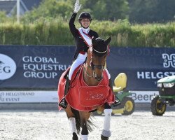 dressage horse Vamos Amigos (Westphalian, 2012, from Vitalis)