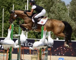 jumper Princesse de V (Spanish Sport Horse, 2010, from Diamant de Semilly)