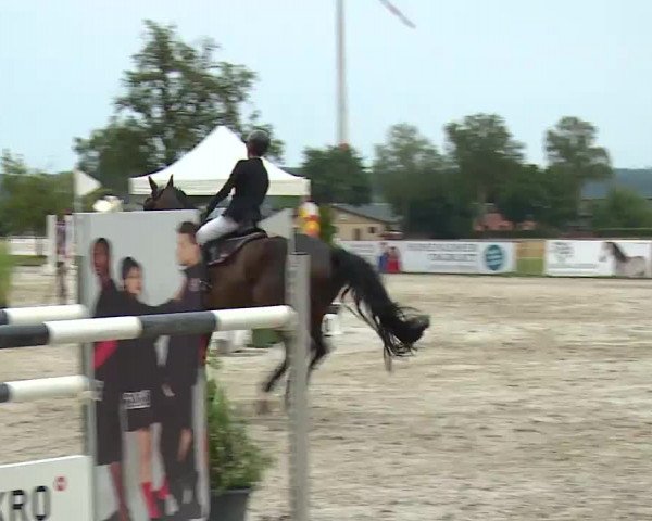 Reitturnier Rot am See- Musdorf 2022