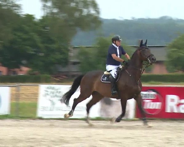 Reitturnier Rot am See- Musdorf 2022