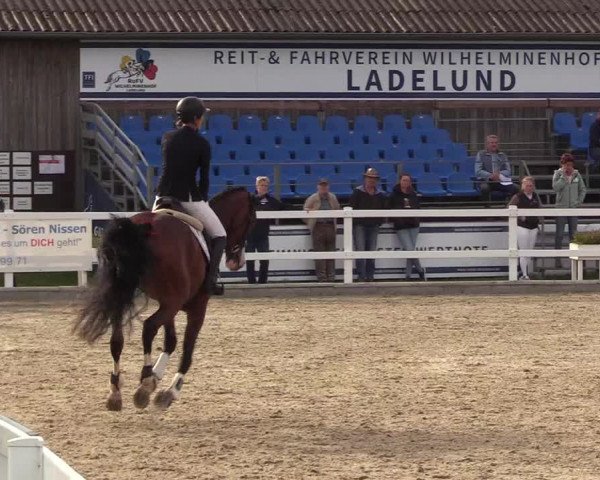 Reitturnier Ladelunder Springtage 2022