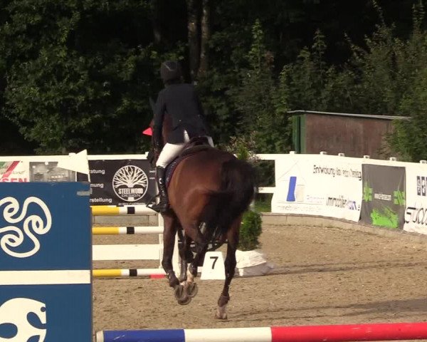 Reitturnier Ladelunder Springtage 2022
