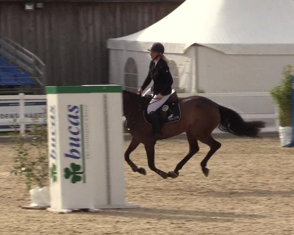 Reitturnier Ladelunder Springtage 2022