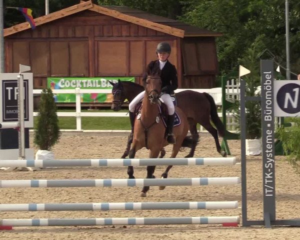 Reitturnier Ladelunder Springtage 2022