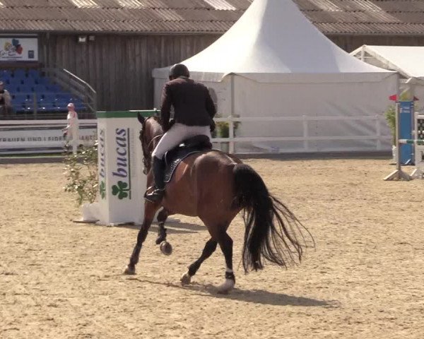 Reitturnier Ladelunder Springtage 2022