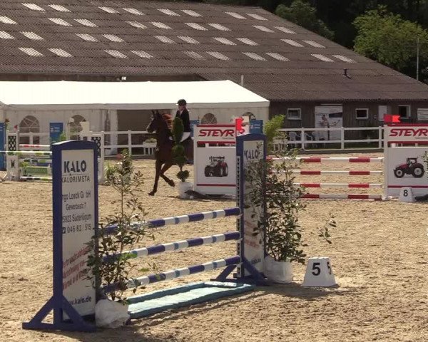 Reitturnier Ladelunder Springtage 2022
