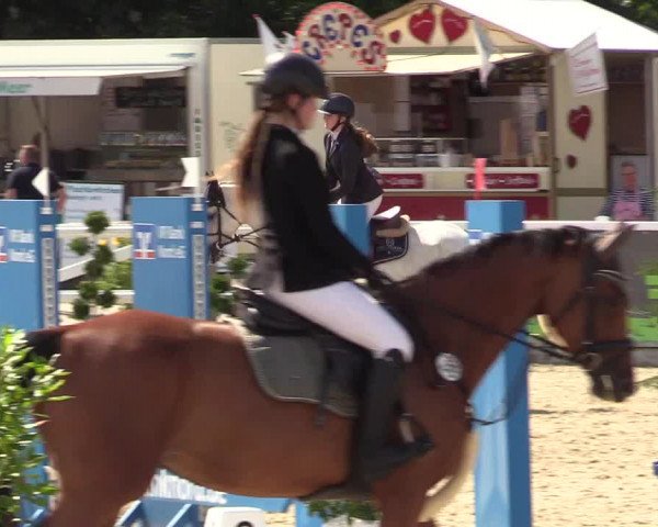 Reitturnier Ladelunder Springtage 2022