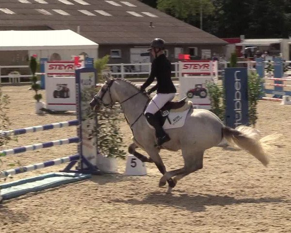 Reitturnier Ladelunder Springtage 2022