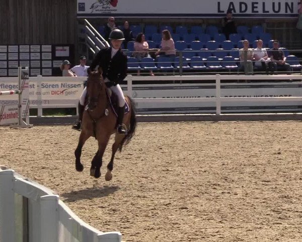Reitturnier Ladelunder Springtage 2022