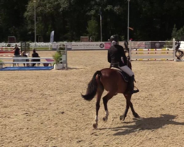 Reitturnier Ladelunder Springtage 2022