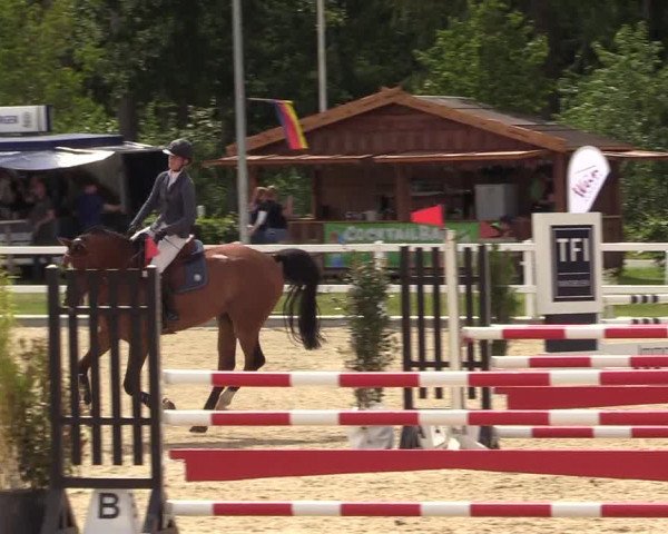 Reitturnier Ladelunder Springtage 2022