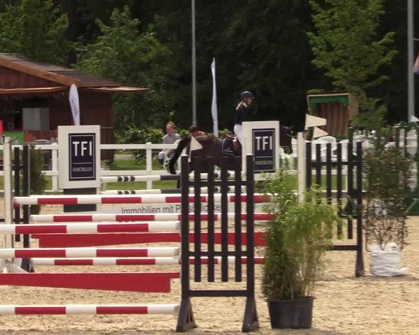 Reitturnier Ladelunder Springtage 2022