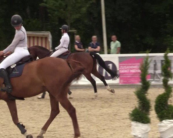 Reitturnier Ladelunder Springtage 2022