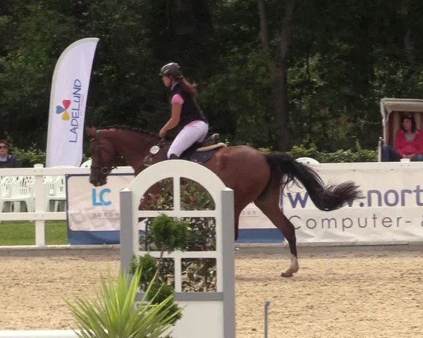 Reitturnier Ladelunder Springtage 2022