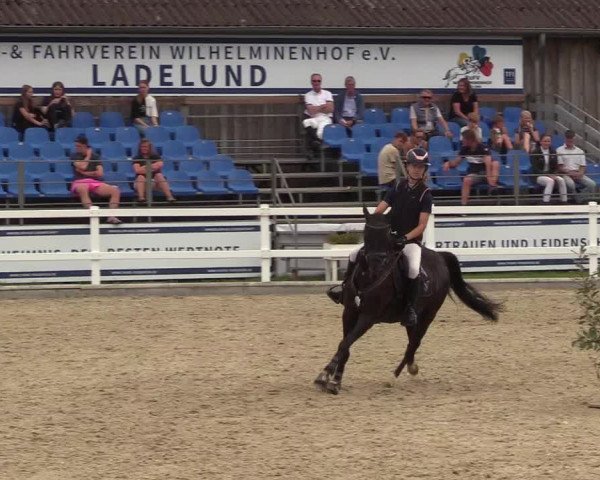 Reitturnier Ladelunder Springtage 2022
