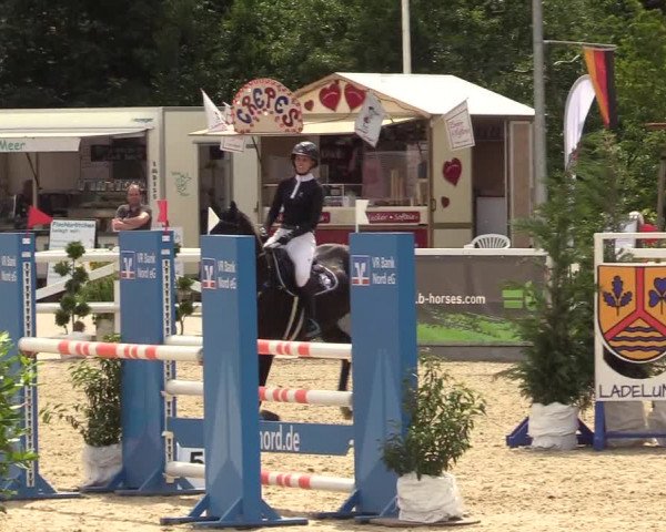 Reitturnier Ladelunder Springtage 2022