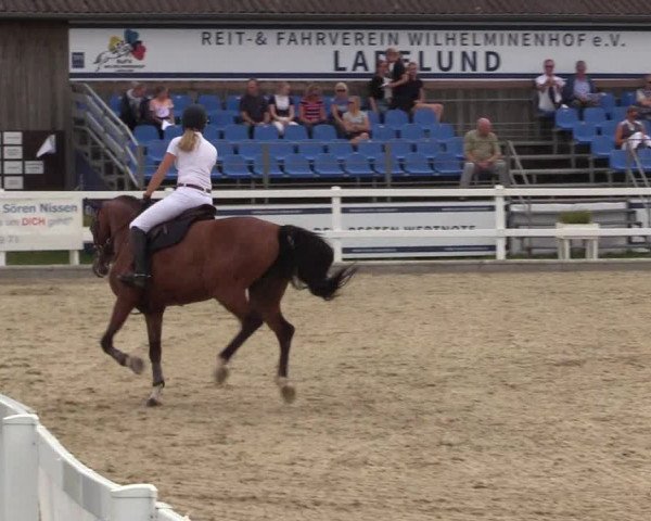 Reitturnier Ladelunder Springtage 2022