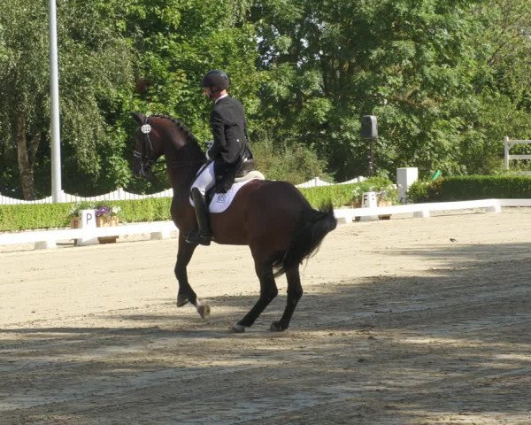 Reitturnier Neu-Anspach 2022