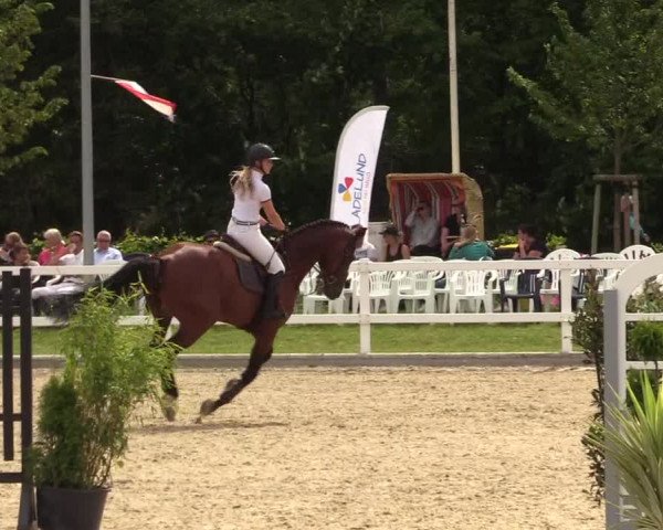 Reitturnier Ladelunder Springtage 2022