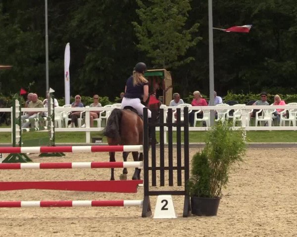 Reitturnier Ladelunder Springtage 2022