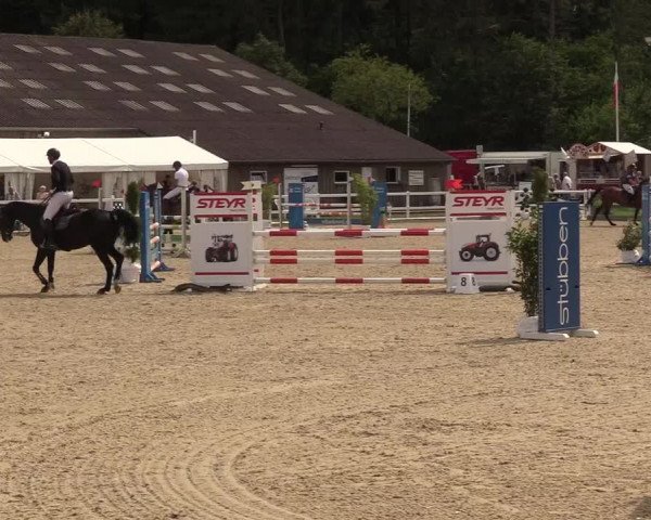 Reitturnier Ladelunder Springtage 2022