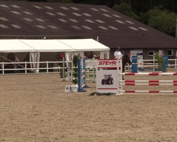 Reitturnier Ladelunder Springtage 2022