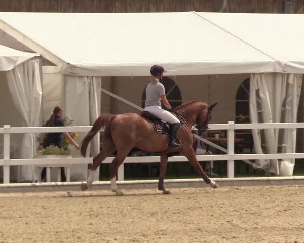 Reitturnier Ladelunder Springtage 2022