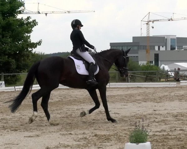 Reitturnier Biberach/Riß 2022