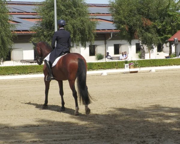 Reitturnier Neu-Anspach 2022