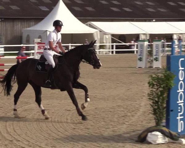 Reitturnier Ladelunder Springtage 2022