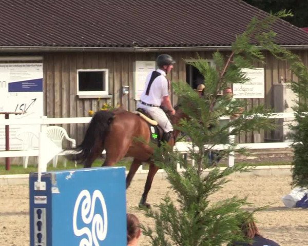 Reitturnier Ladelunder Springtage 2022