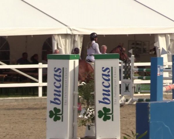 Reitturnier Ladelunder Springtage 2022