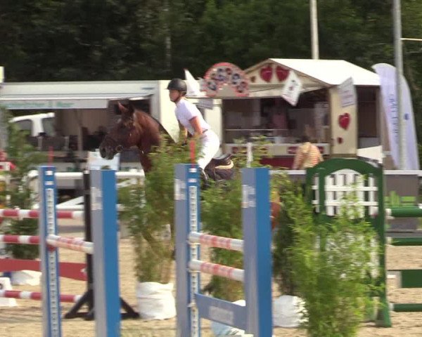 Reitturnier Ladelunder Springtage 2022