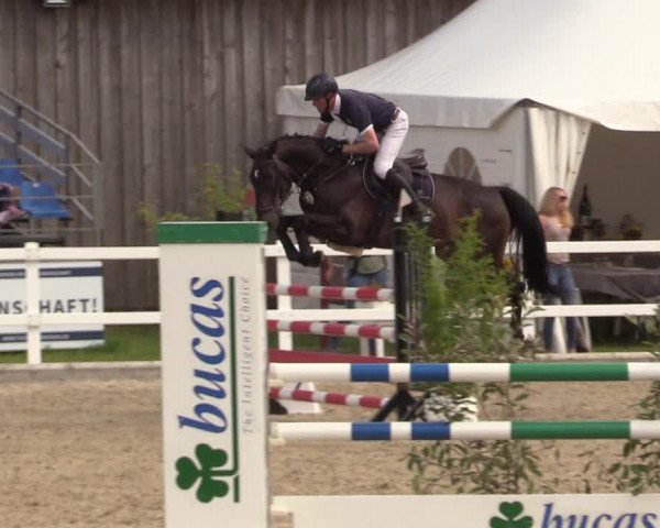 Reitturnier Ladelunder Springtage 2022