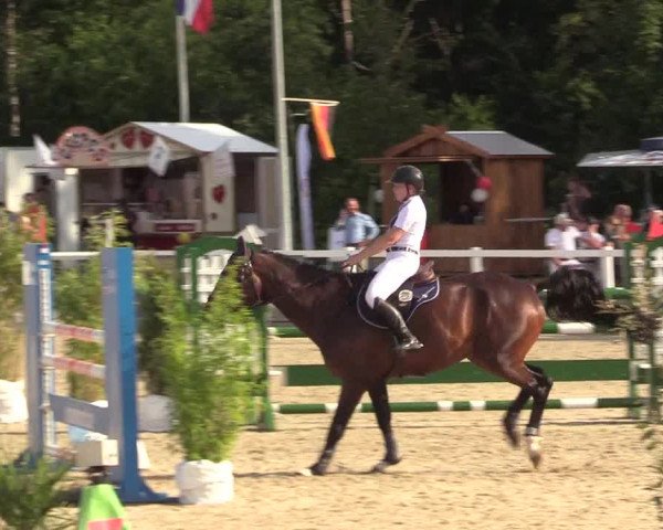 Reitturnier Ladelunder Springtage 2022
