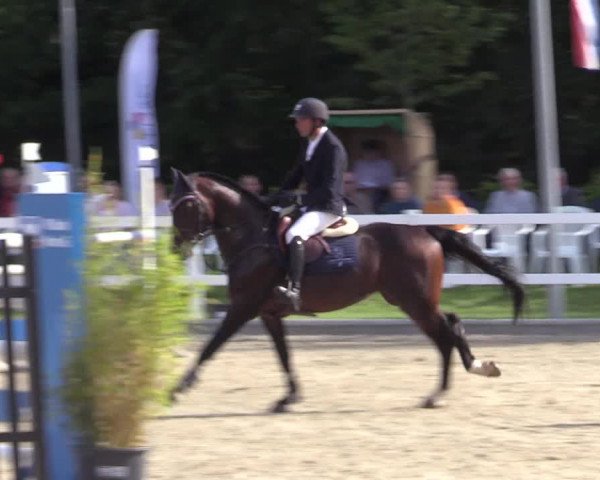 Reitturnier Ladelunder Springtage 2022