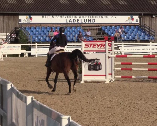 Reitturnier Ladelunder Springtage 2022