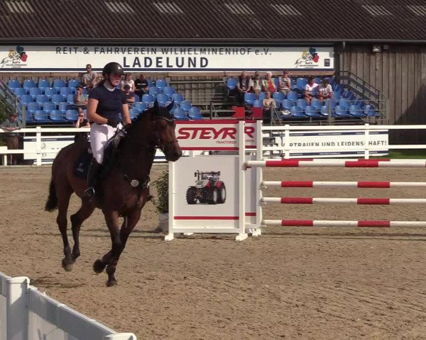 Reitturnier Ladelunder Springtage 2022