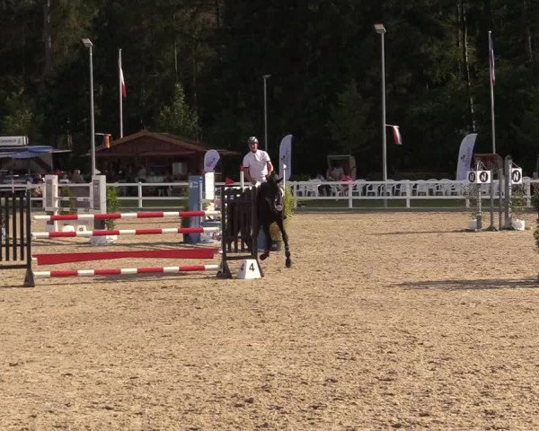 Reitturnier Ladelunder Springtage 2022