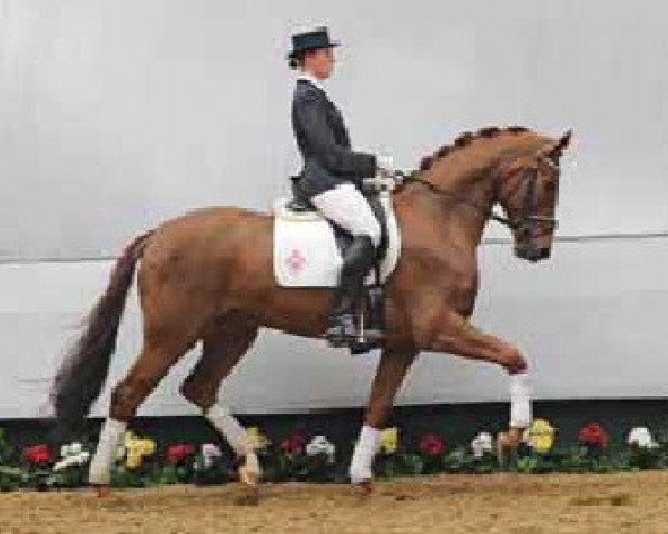 dressage horse Louis Vuitton 8 (Westphalian, 2006, from Laudabilis)