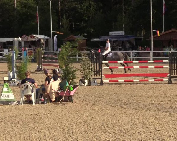 Reitturnier Ladelunder Springtage 2022