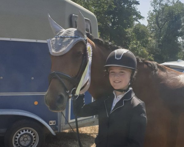 horse Tavita S (Oldenburg show jumper, 2016, from Tangelo van de Zuuthoeve)