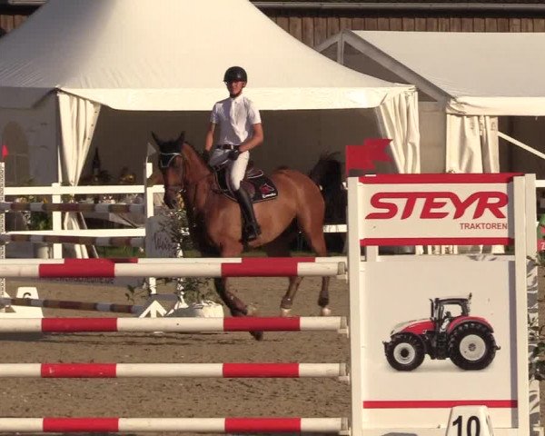 Reitturnier Ladelunder Springtage 2022
