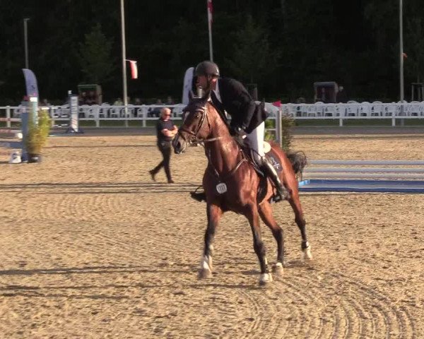 Reitturnier Ladelunder Springtage 2022