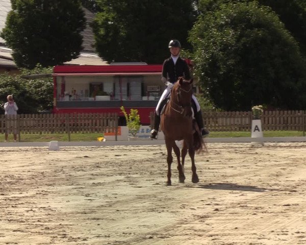 Reitturnier Schülp / Rendsburg 2022