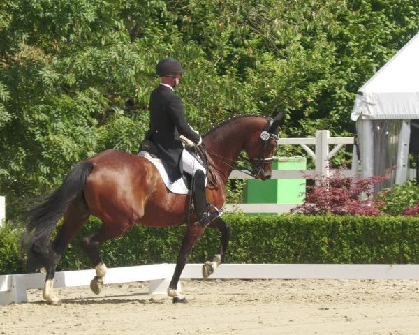 Reitturnier Neu-Anspach 2022