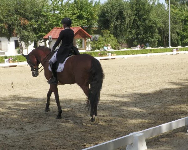 Reitturnier Neu-Anspach 2022