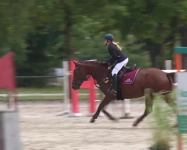 Reitturnier Rot am See- Musdorf 2022