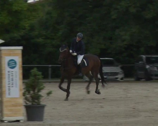 Reitturnier Rot am See- Musdorf 2022