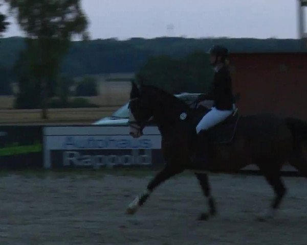 Reitturnier Rot am See- Musdorf 2022